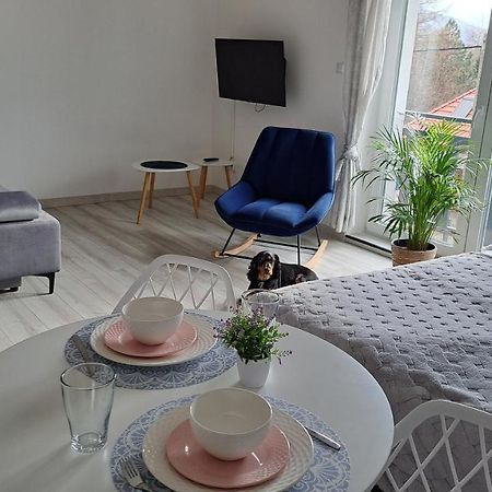 Apartamenty Bujaki Ustron Exterior photo